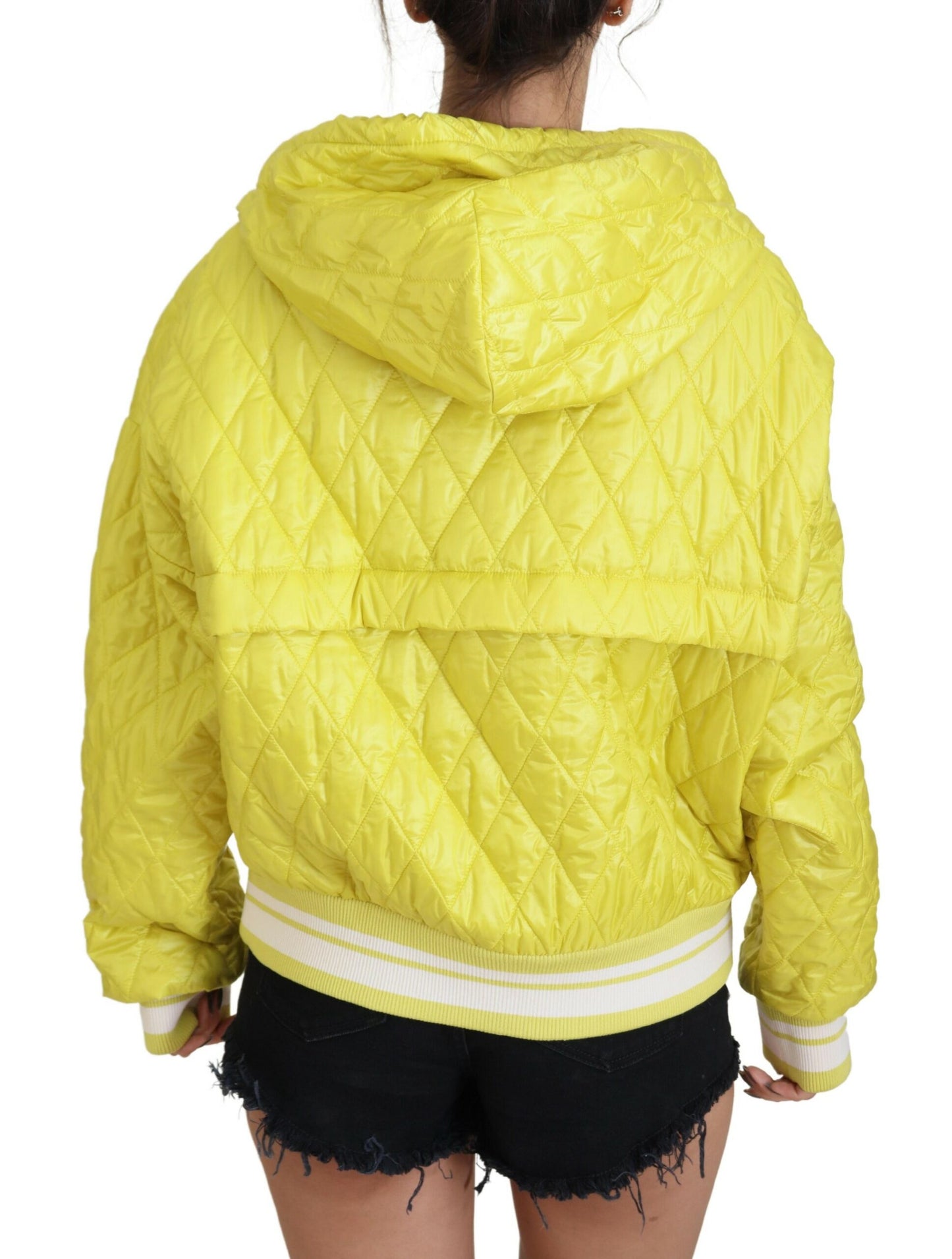 Dolce & Gabbana Bomber Jacket - Women