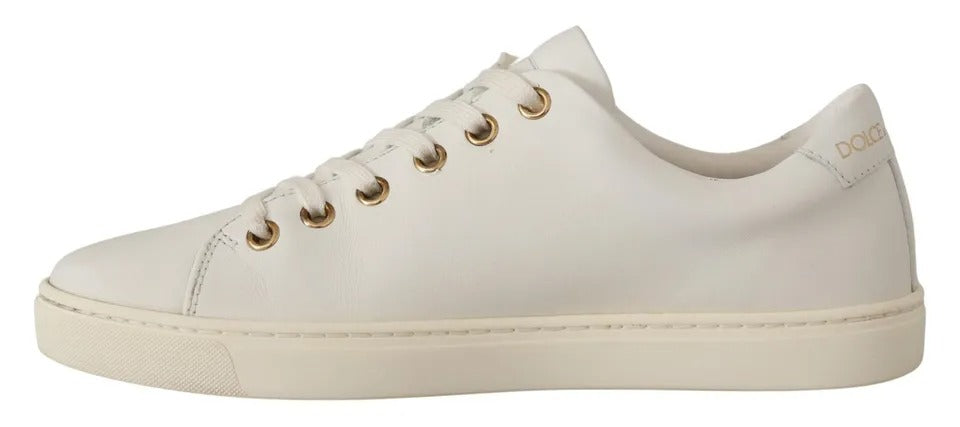 Dolce & Gabbana Sneakers - Damen