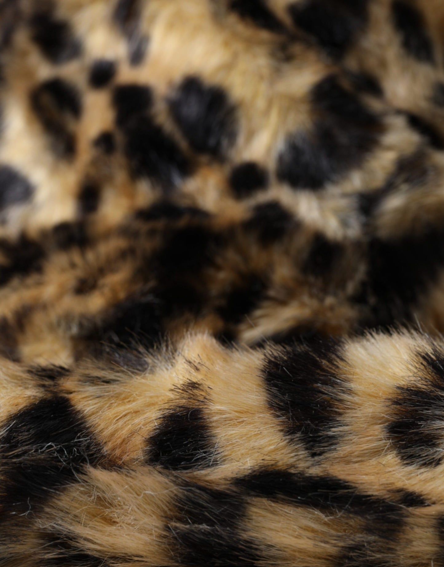 Dolce & Gabbana Brim Hat - Women