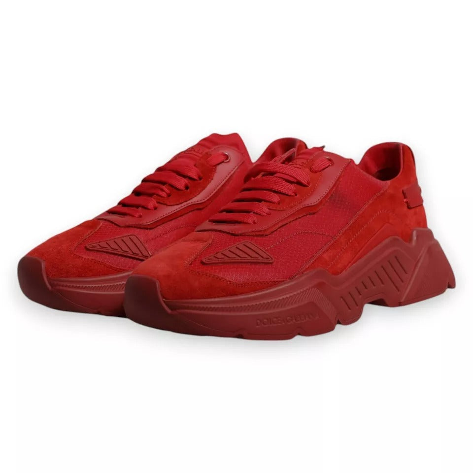Dolce & Gabbana Sneakers - Herren