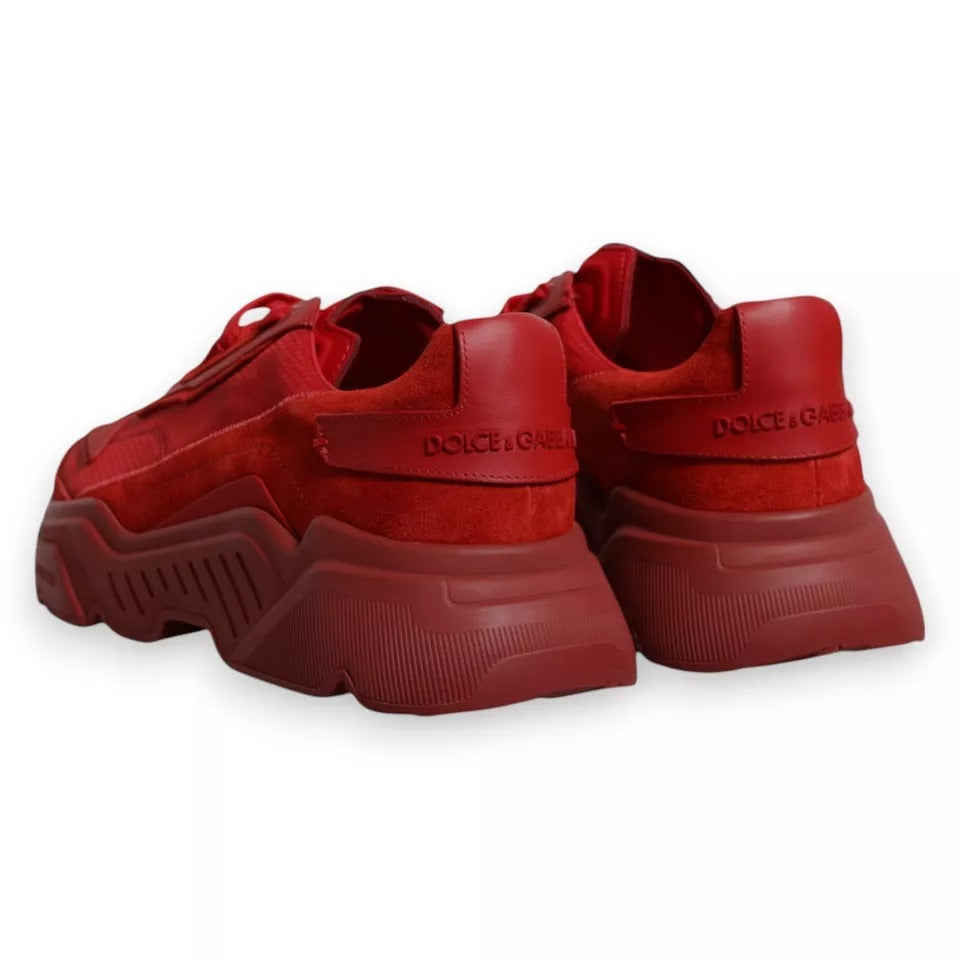 Dolce & Gabbana Sneakers - Herren