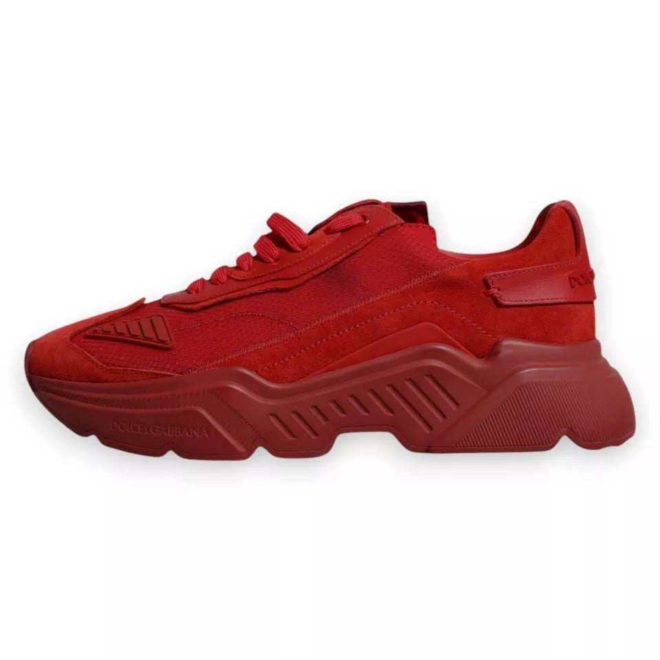 Dolce & Gabbana Sneakers - Herren