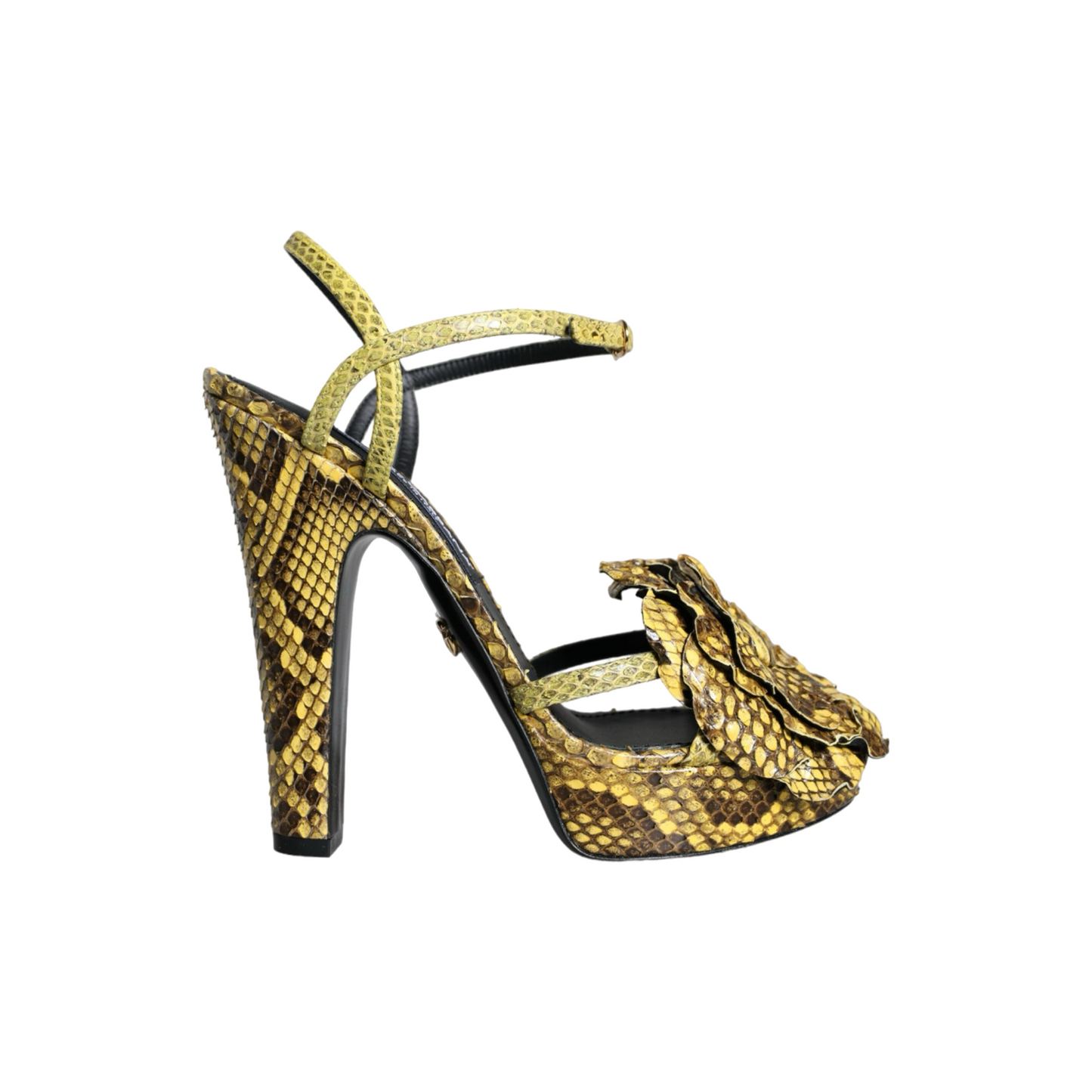 Dolce & Gabbana Pumps - Women
