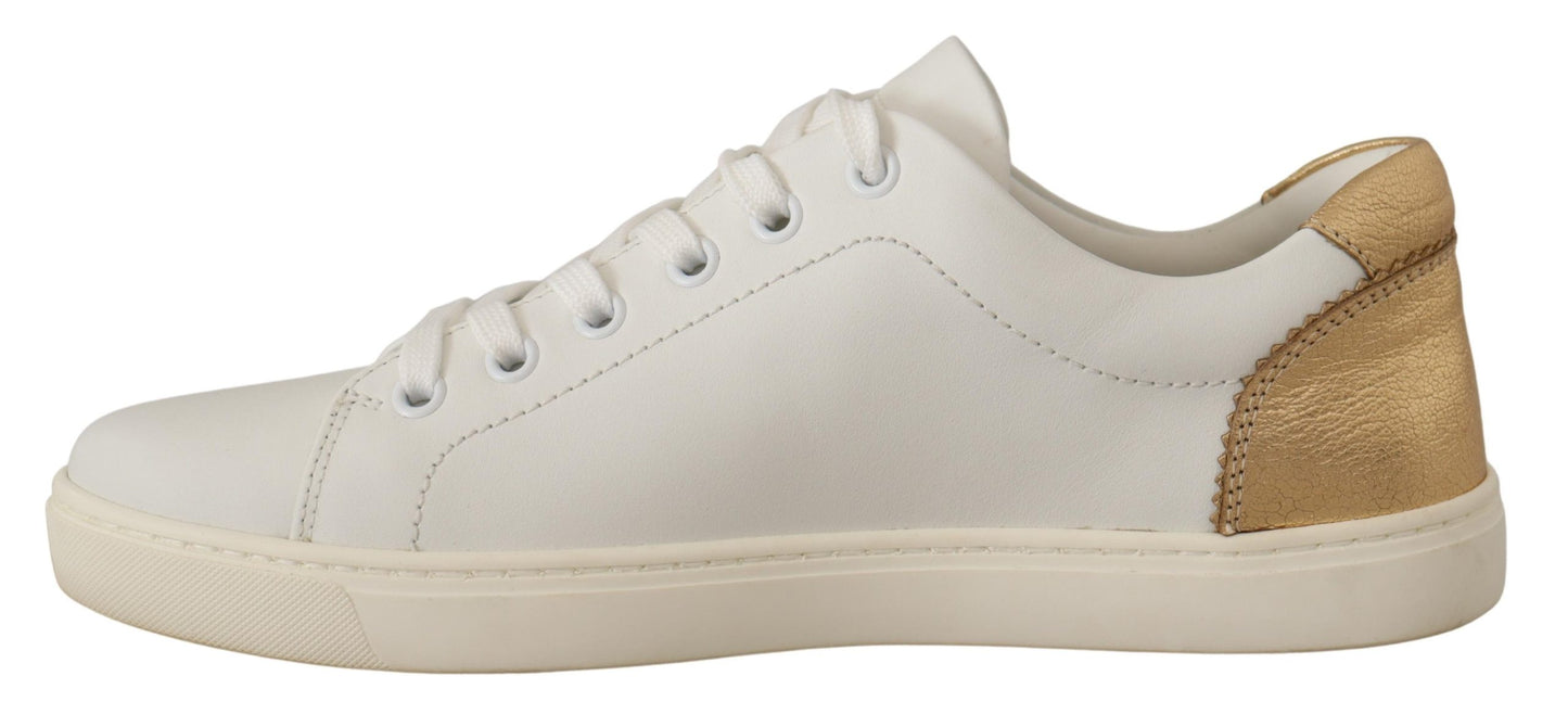 Dolce & Gabbana Sneakers - Women