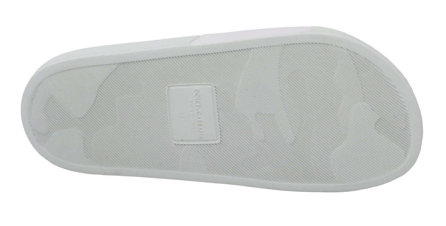 Dolce & Gabbana mules - women