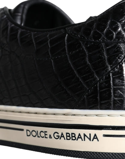 Dolce & Gabbana Sneakers - Damen