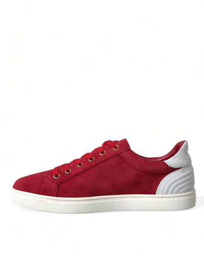 Dolce & Gabbana Sneakers - Herren