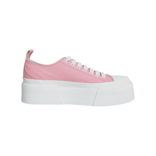 Dolce & Gabbana Sneakers - Damen