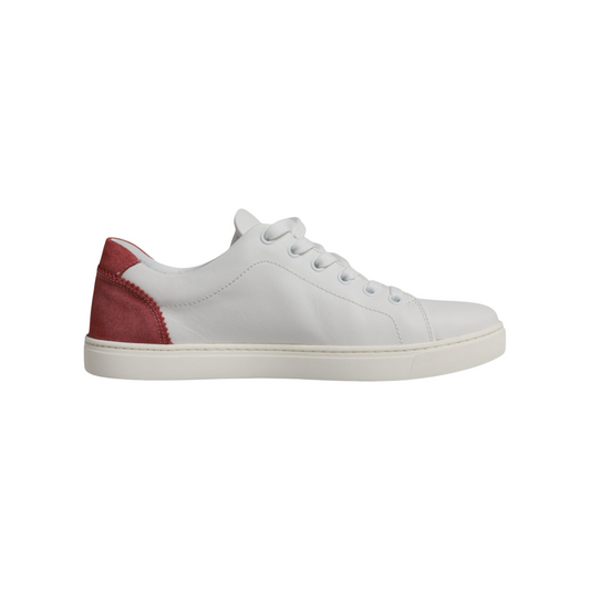 Dolce & Gabbana Sneakers - Damen