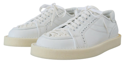 Dolce & Gabbana Sneakers - Herren