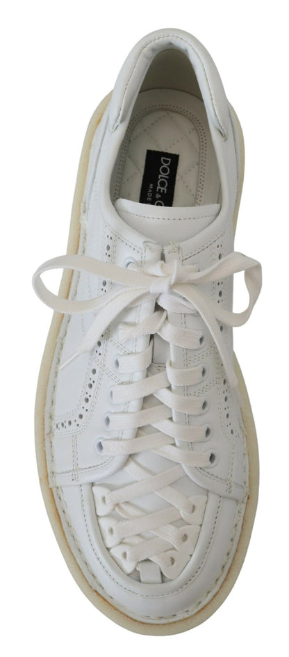 Dolce & Gabbana Sneakers - Herren