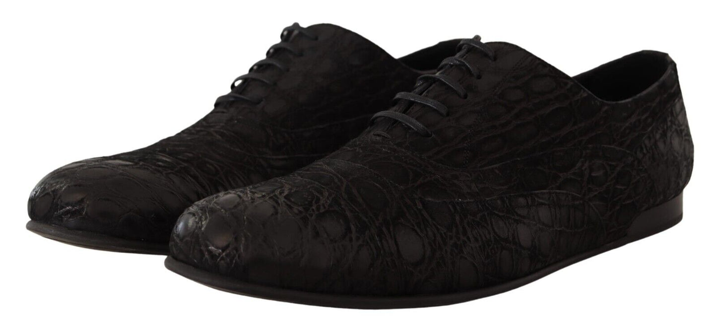 Dolce & Gabbana Oxfords - Herren