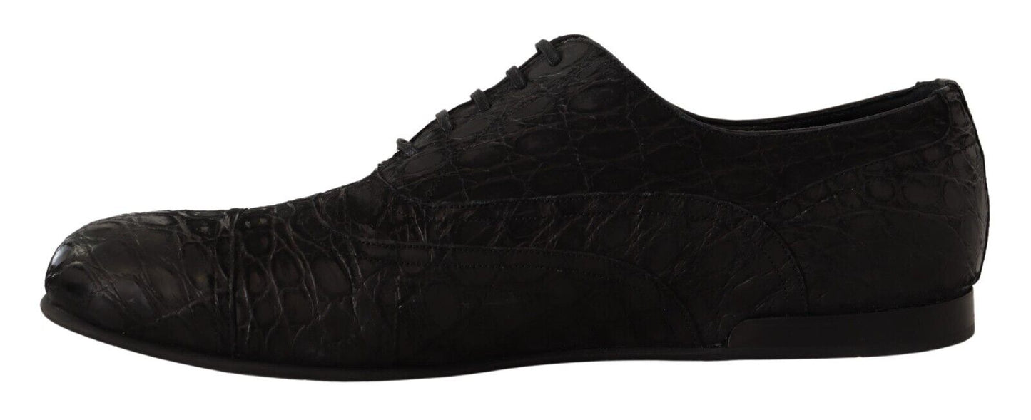 Dolce & Gabbana Oxfords - Herren